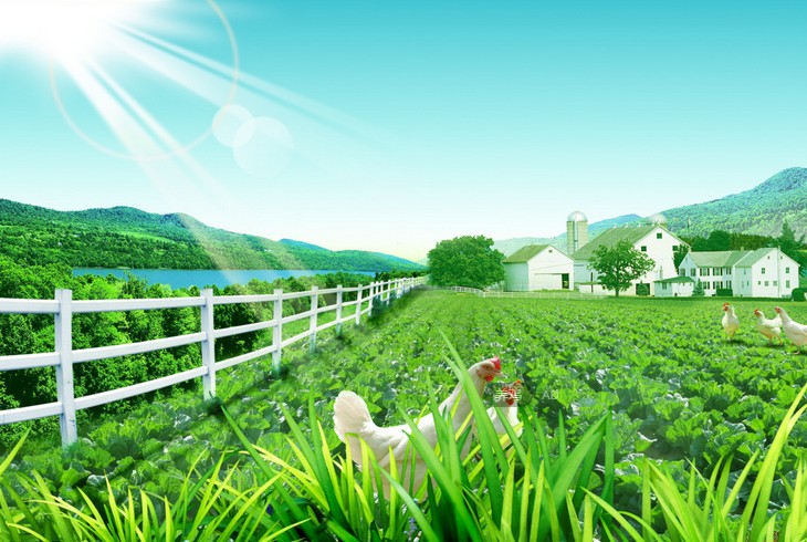 http://www.nongyemen.com/yangzhi/yj/