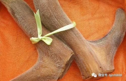 鹿茸加工方法大全--整根鹿茸怎么加工