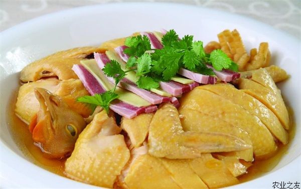 蛋鸡饲料添加剂使用注意事项