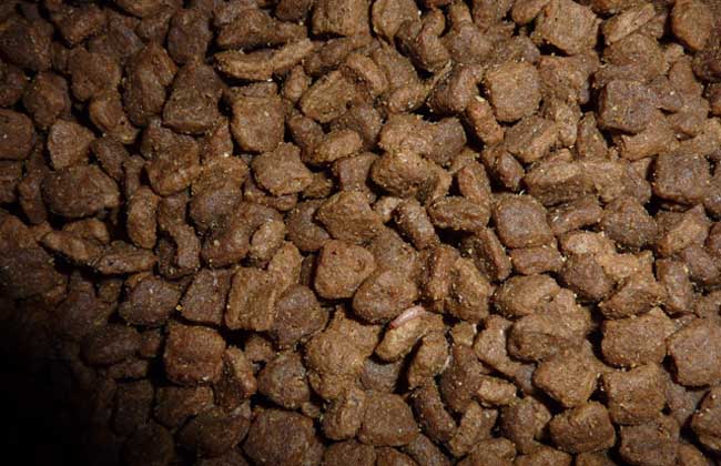 十大拉布拉多犬狗粮排行榜