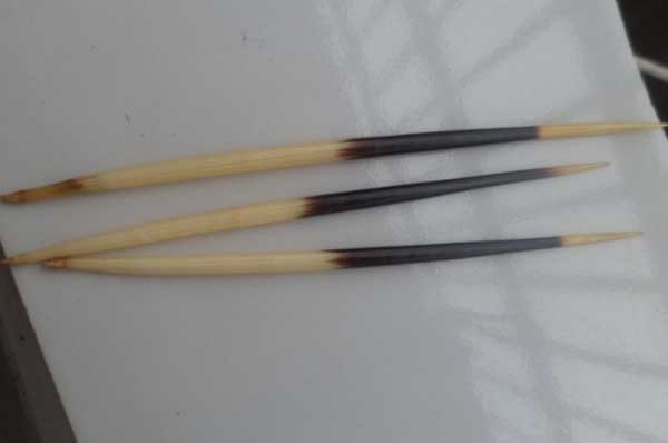 豪猪刺的作用与功效