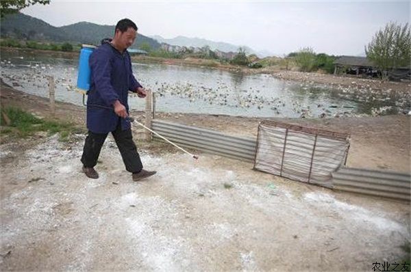 养鸭场科学消毒措施