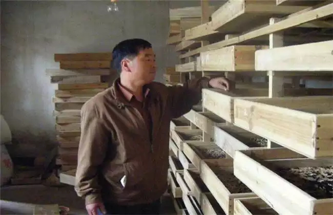 黄粉虫养殖做好密封工作