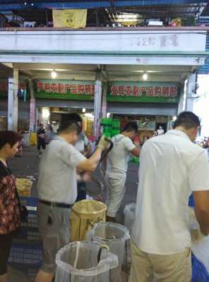 大王蛇多少钱一斤？王锦蛇市场价格