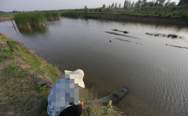 龙虾养殖一亩投资成本要多少？