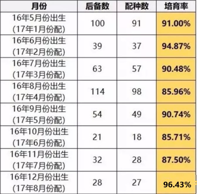 后备母猪饲喂流程,这几点你必须得清楚!