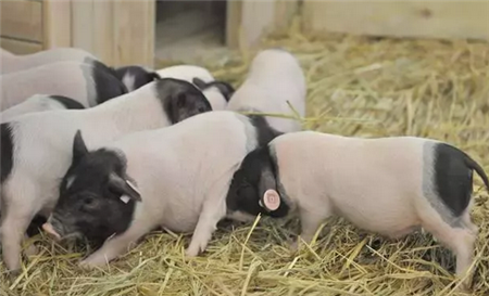 分娩率超90%的秘诀，在于有没有做好这三点，快对照一下！