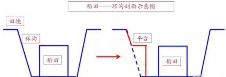 稻田养殖小龙虾挖沟要几米合适?