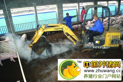 养殖场在深翻发酵床垫料,以利菌种生长 养殖场在深翻发酵床垫料,以利菌种生长