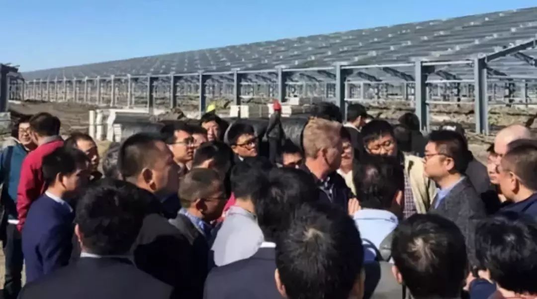 非洲猪瘟最大爆发地黑龙江明水猪场是如果做猪场管理的？