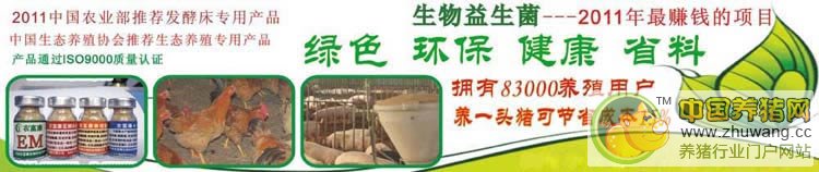 发酵床菌种 - lmg2276411427 - 农富康生物科技有限公司
