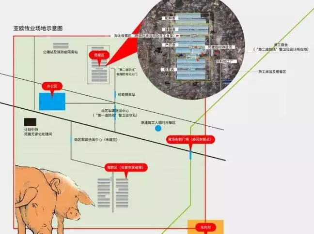 非洲猪瘟最大爆发地黑龙江明水猪场是如果做猪场管理的？