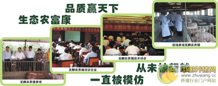 发酵床菌种 - lmg2276411427 - 农富康生物科技有限公司