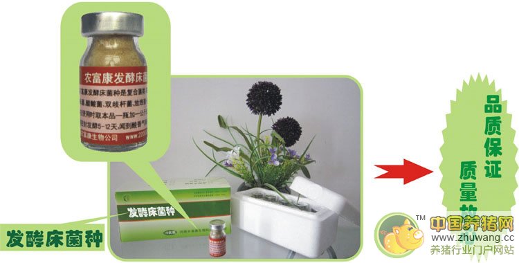 发酵床菌种 - lmg2276411427 - 农富康生物科技有限公司