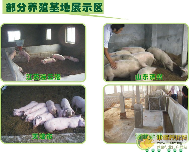 发酵床菌种 - lmg2276411427 - 农富康生物科技有限公司