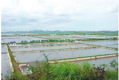 水库可以养殖小龙虾吗?