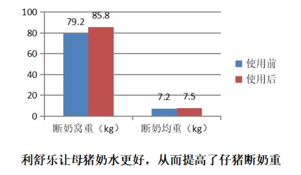 小猪拉稀、成活率低跟母猪脱不了关系!这一点你重视过吗?