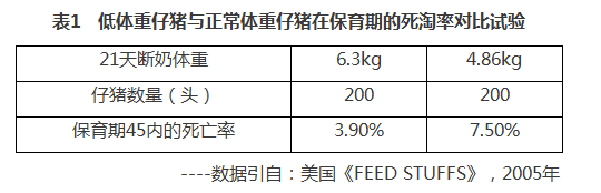 小猪拉稀、成活率低跟母猪脱不了关系!这一点你重视过吗?