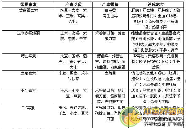 霉菌毒素的主要种类及危害有哪些？