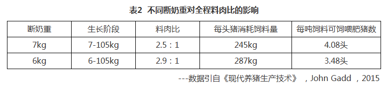 小猪拉稀、成活率低跟母猪脱不了关系!这一点你重视过吗?