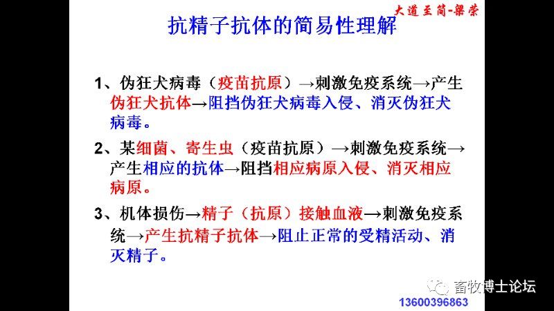 猪繁殖障碍的原因和对策分析