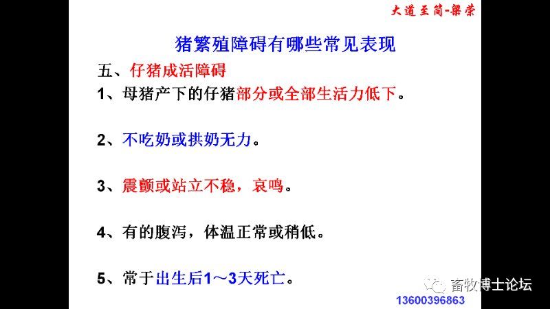 猪繁殖障碍的原因和对策分析