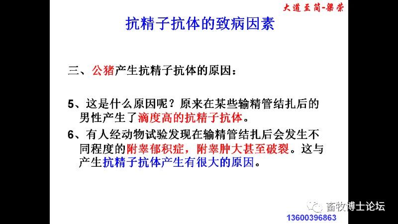 猪繁殖障碍的原因和对策分析