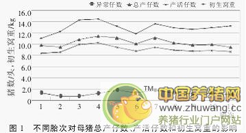 胎次对长大二元杂种母猪产仔数和初生窝重的影响