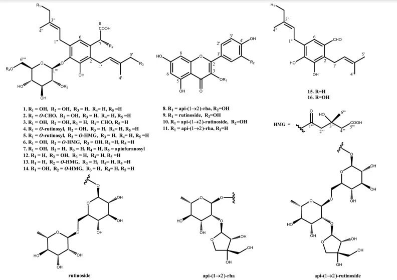 韩国：从植物中发现对猪流行性腹泻病毒有抑制作用的酚类化合物