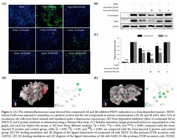 韩国：从植物中发现对猪流行性腹泻病毒有抑制作用的酚类化合物