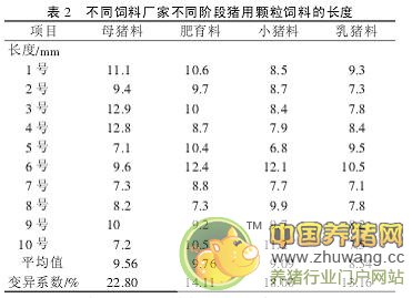新清平猪母系选育及其杂交利用