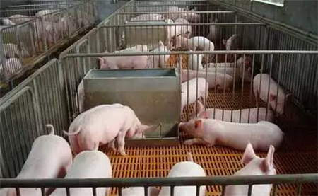 理念决生死，细节定成败