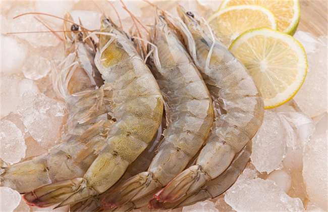 南美白对虾的饲养管理方法