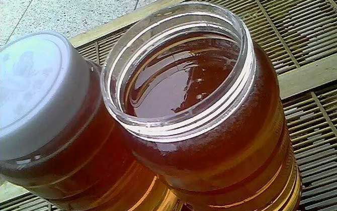 枣花蜜价格多少钱一斤？