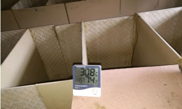 饲养竹鼠需要哪些资源和什么样的环境？