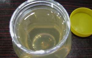 蜂蜜绿茶减肥原理及正确喝法_库百科养蜂养殖