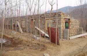 散养蛋鸡舍建设方案_库百科蛋鸡养殖