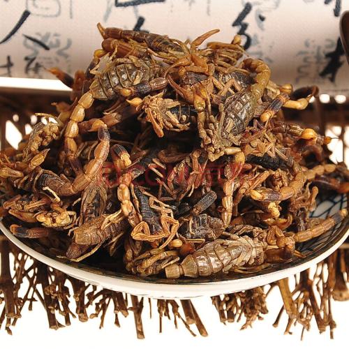 蝎子养殖前景如何 2019年蝎子价格行情预测
