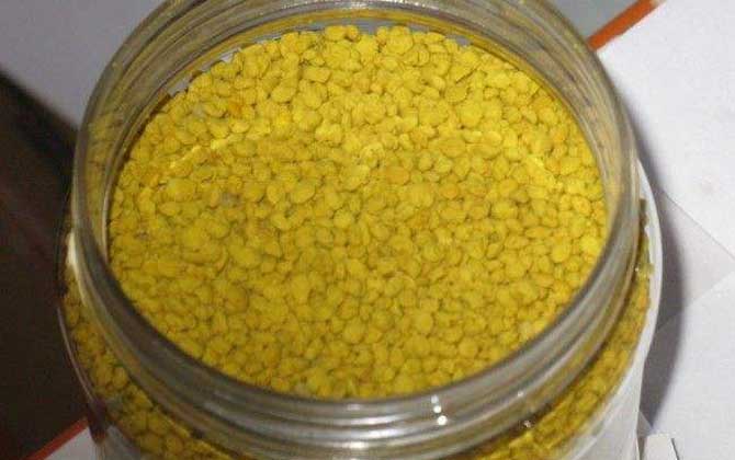 油菜花粉的功效与作用及食用方法
