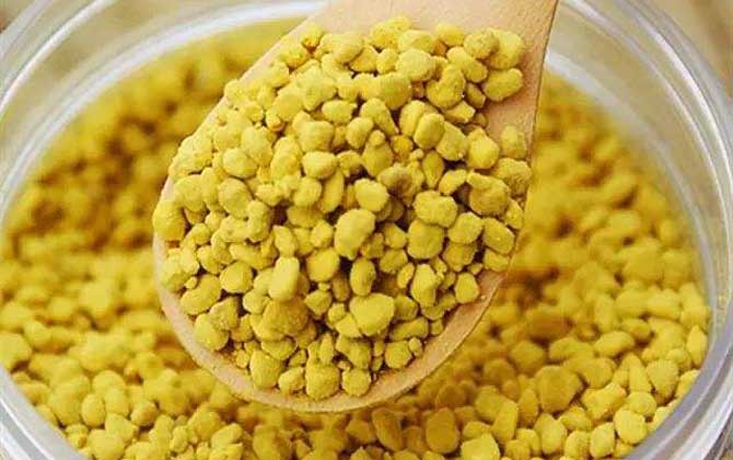 蜂花粉的作用与功效及食用方法