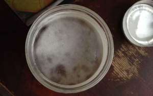 变质蜂蜜吃了会怎么样？_库百科养蜂养殖