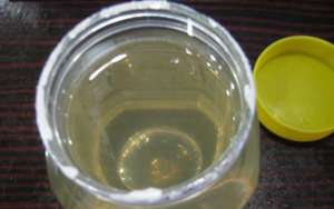 蜂蜜价格由什么决定的？_库百科养蜂养殖