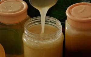 党参蜂蜜的功效与作用及食用方法_库百科养蜂养殖