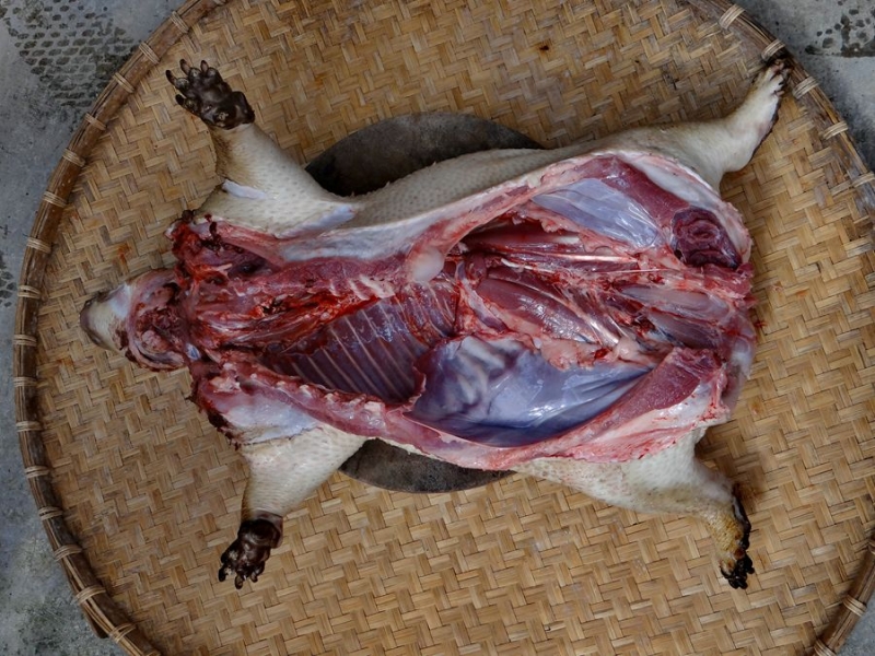 豪猪肉的做法