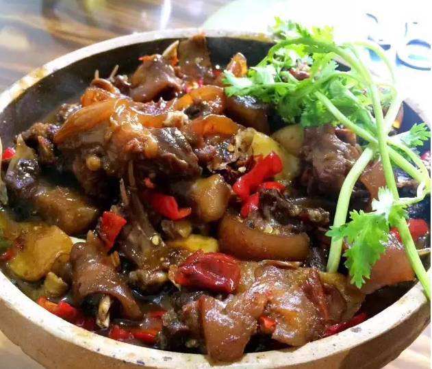 竹鼠好吃吗