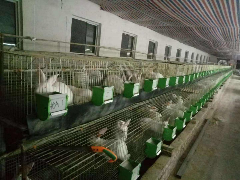 规模化兔子养殖设备有哪些