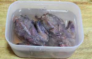 斑鸠食用价值和食用禁忌_库百科斑鸠养殖