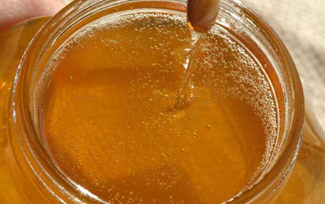 荔枝蜜价格多少钱一斤？