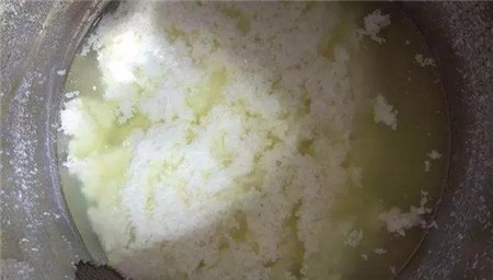 奶酪 奶酪