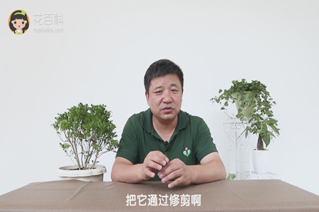 把它通过修剪啊 把它通过修剪啊